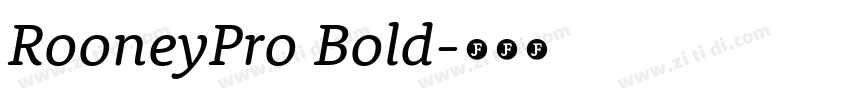 RooneyPro Bold字体转换